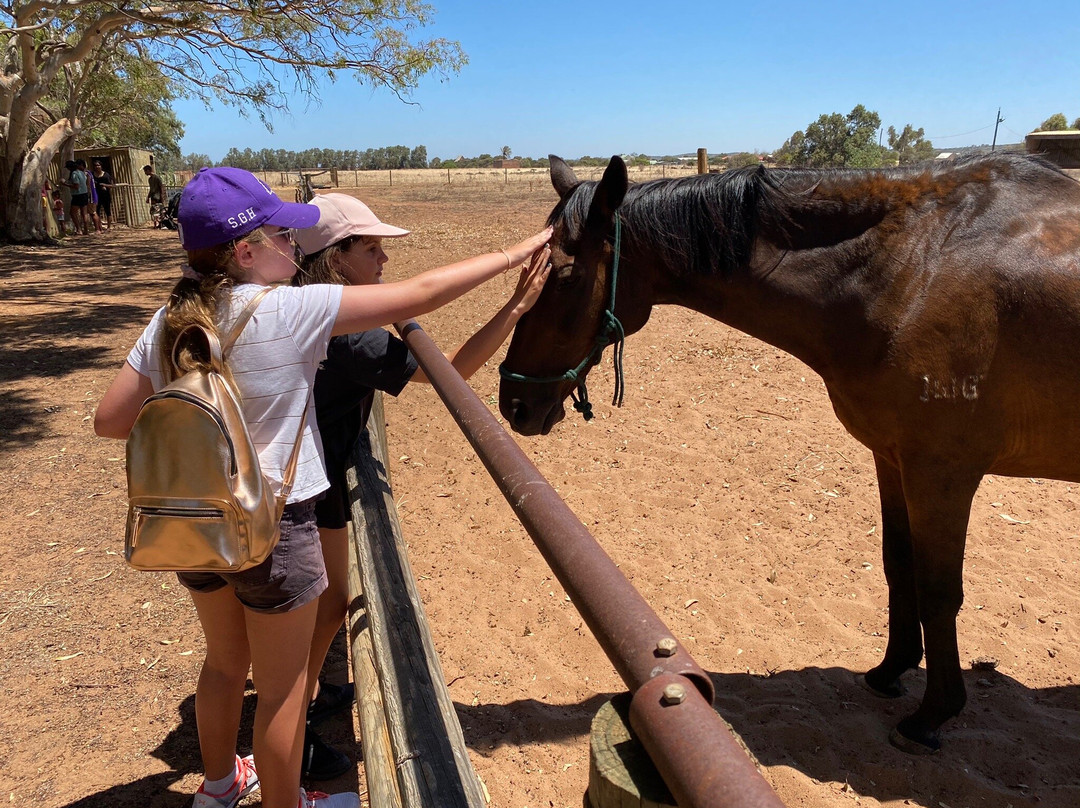 Greenough Wildlife & Bird Park-Greenough必去景点