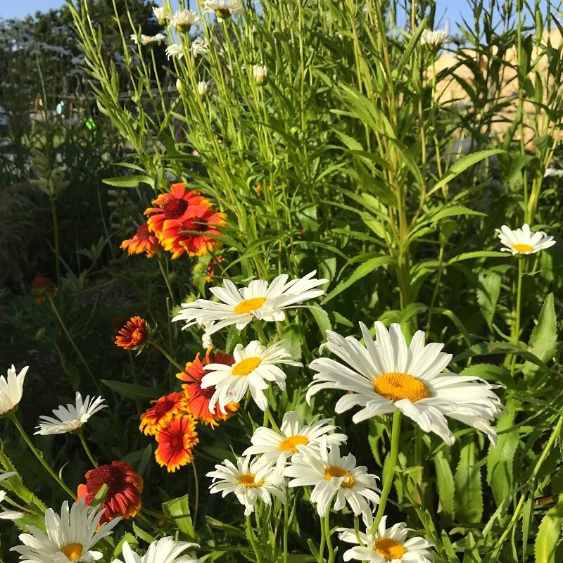 Le Presbytère de Beaulieu主图