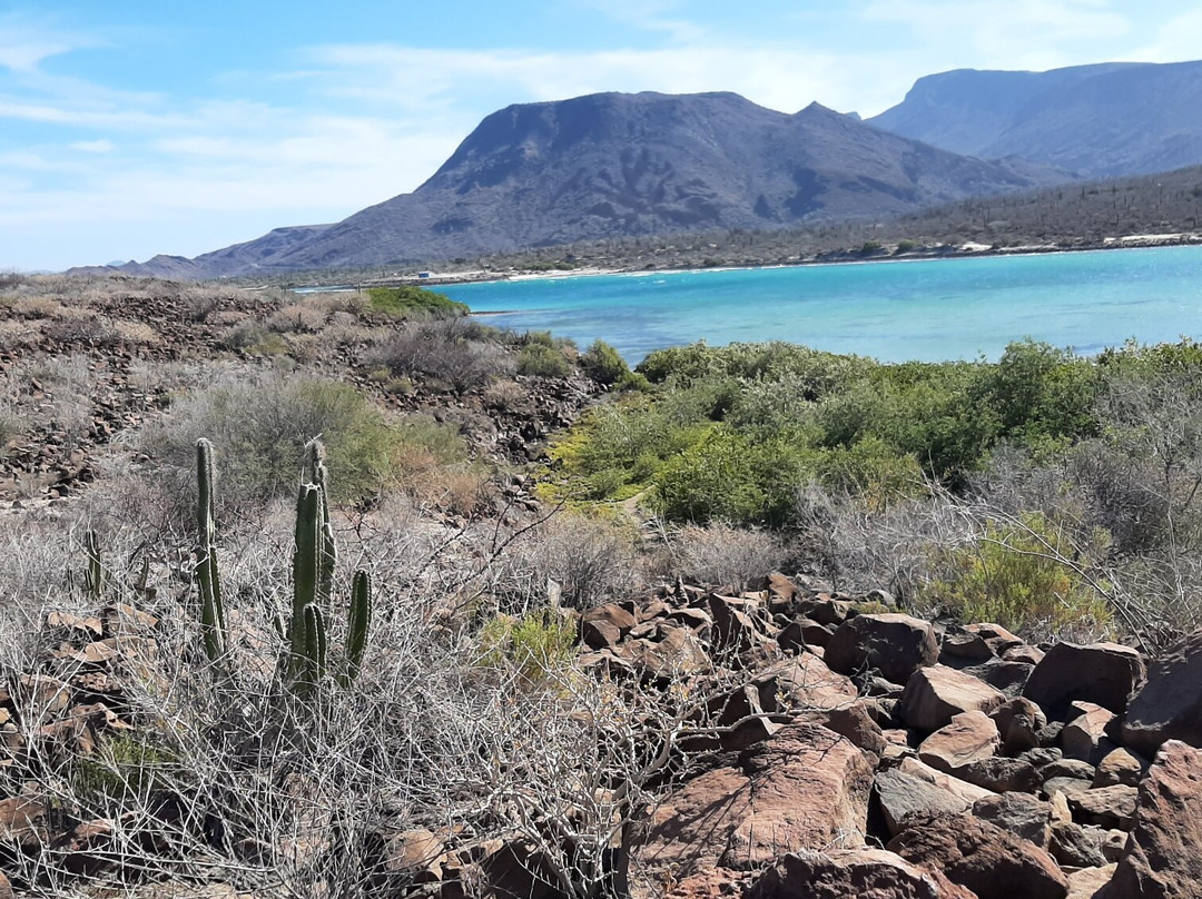 Playa el Requeson-洛雷托必去景点