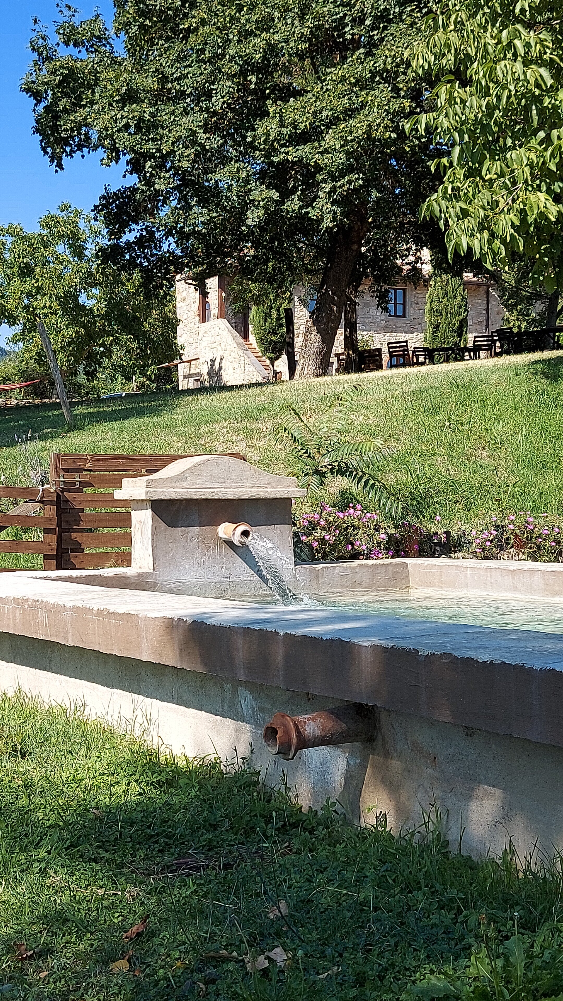 Bed and Breakfast La Collina-泳池