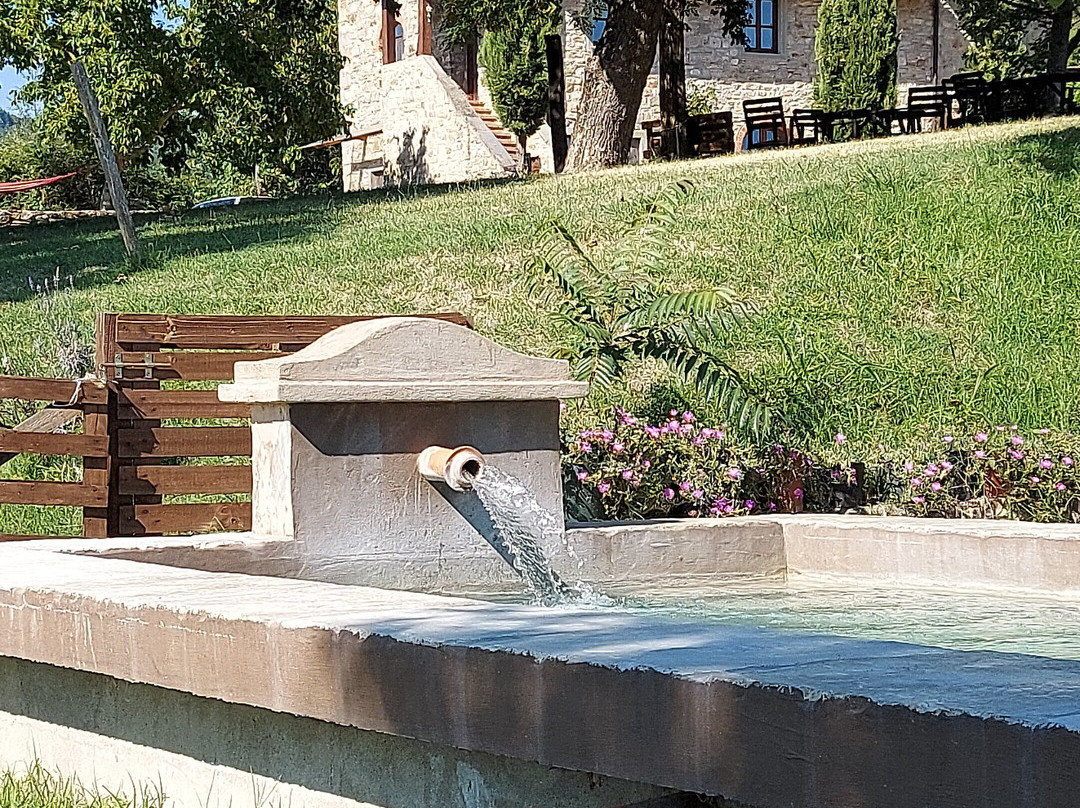 Bed and Breakfast La Collina主图