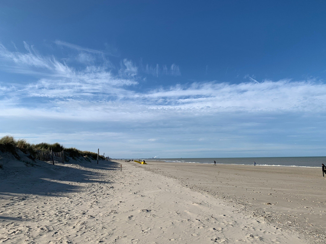 De Panne Beach景点图片