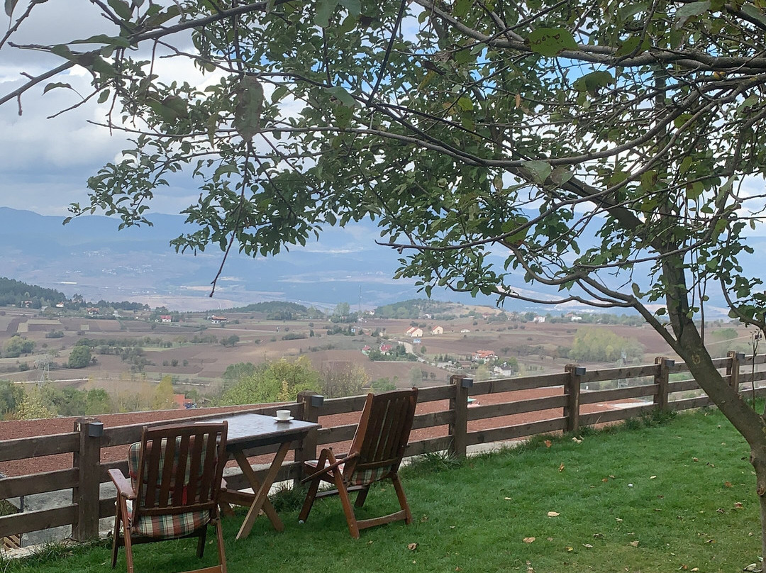 Villa Neva Hotel主图