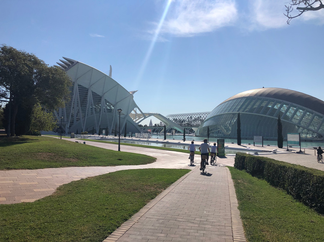 Visiter Valencia景点图片
