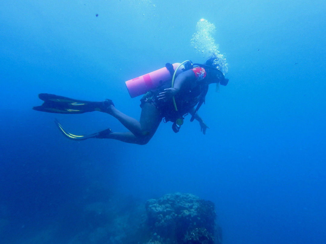 Dive In Baja-Los Barriles必去景点