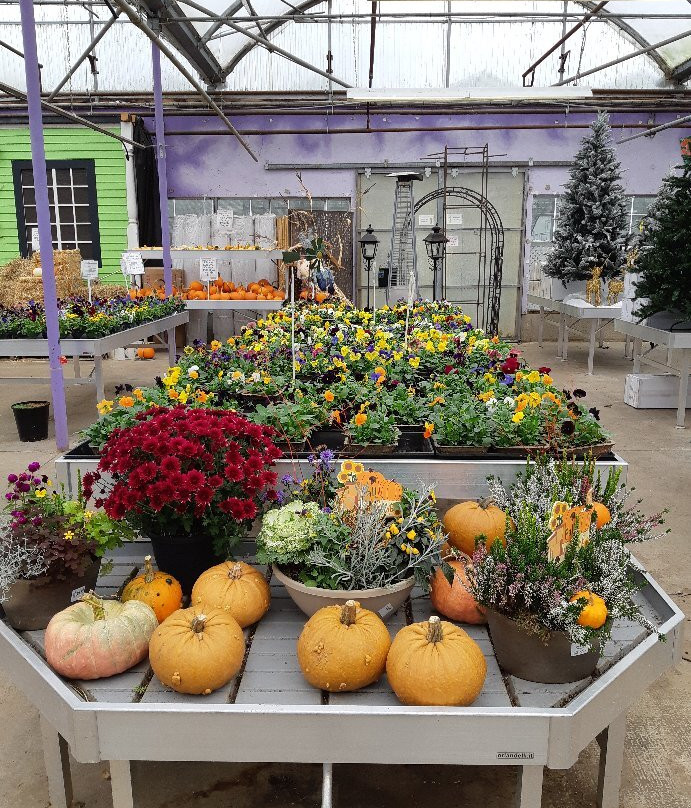 Minter Country Garden景点图片