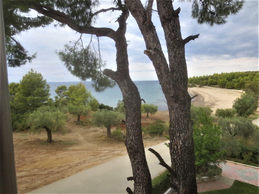 Blue Dolphin Hotel主图