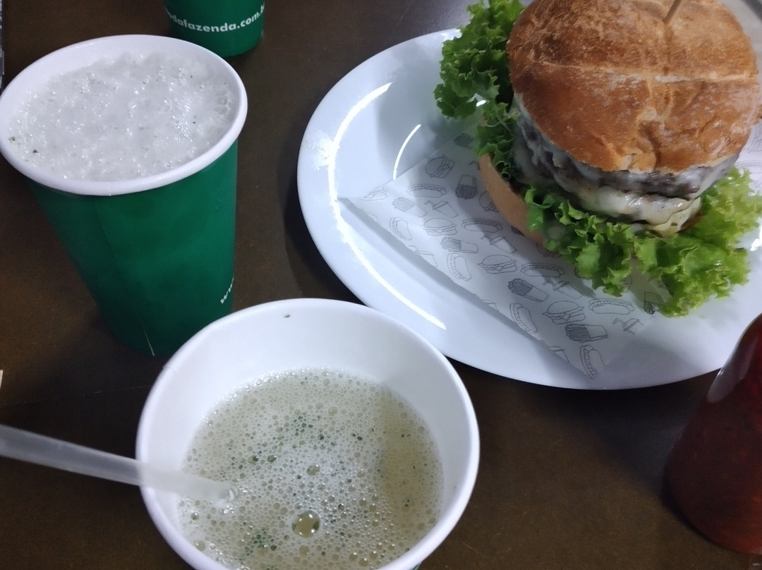 Palmito da Fazenda-Registro必去景点