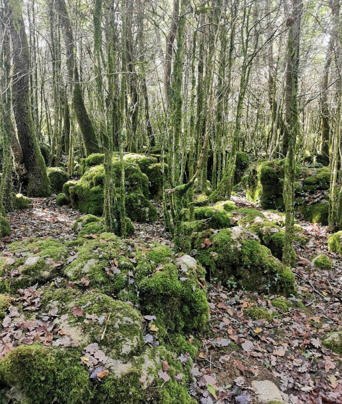 Le Labyrinthe Vert Nebias-Nebias必去景点