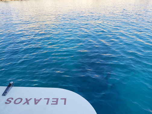 Lelaxos Cruises-罗德城必去景点