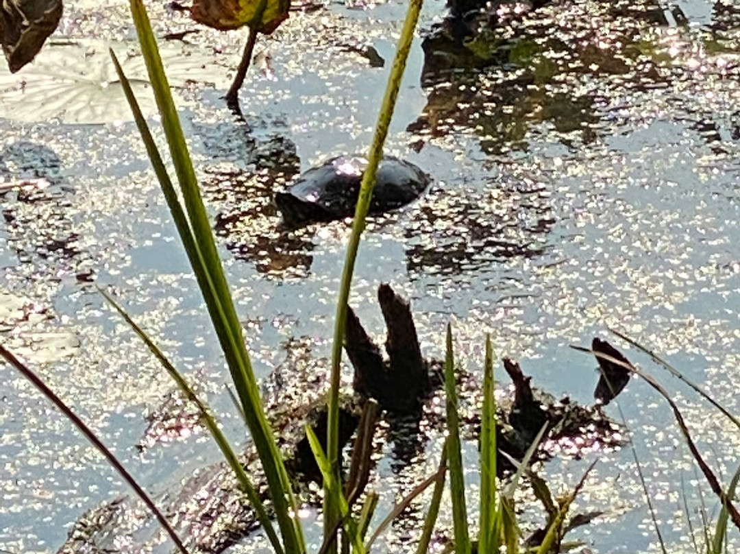 The Rookery-Chesterland必去景点