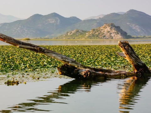 Dražen Petrović-维尔巴札拉必去景点