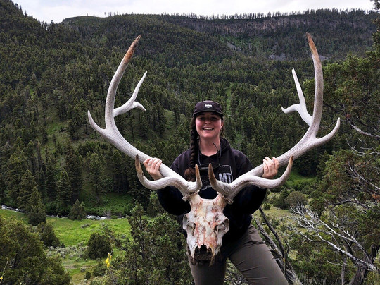 Wyld Guide-西黄石镇必去景点