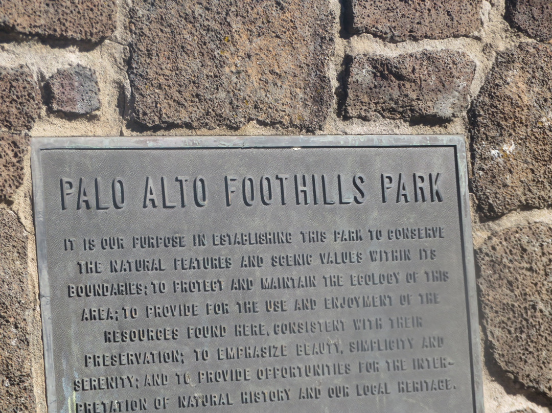 Foothills Park-帕罗奥多必去景点