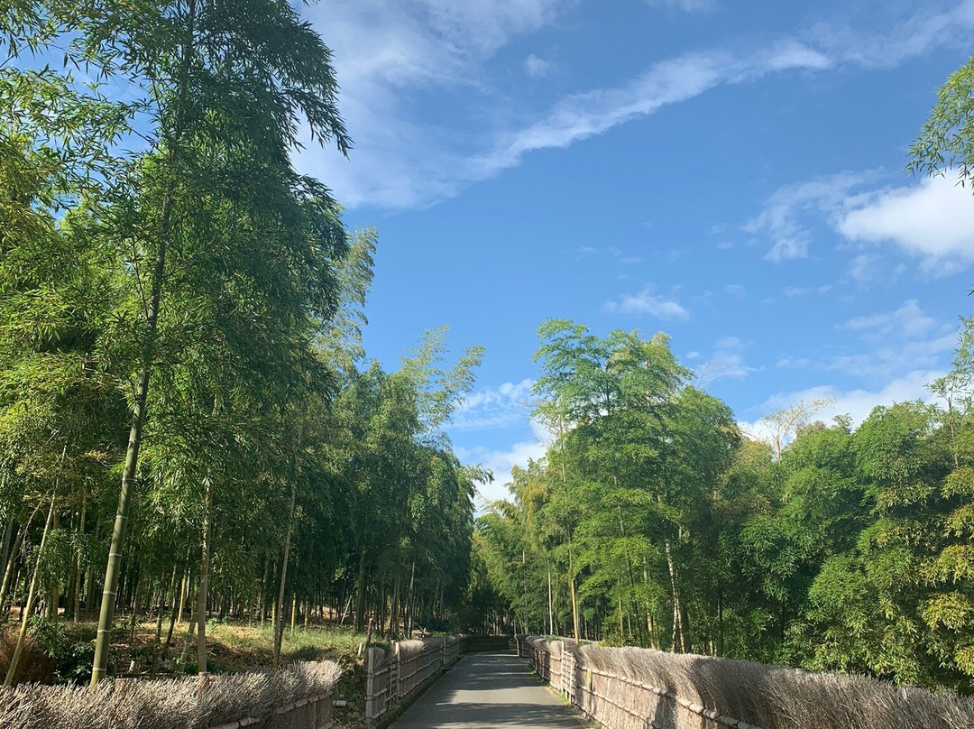 Takenomichi-向日市必去景点