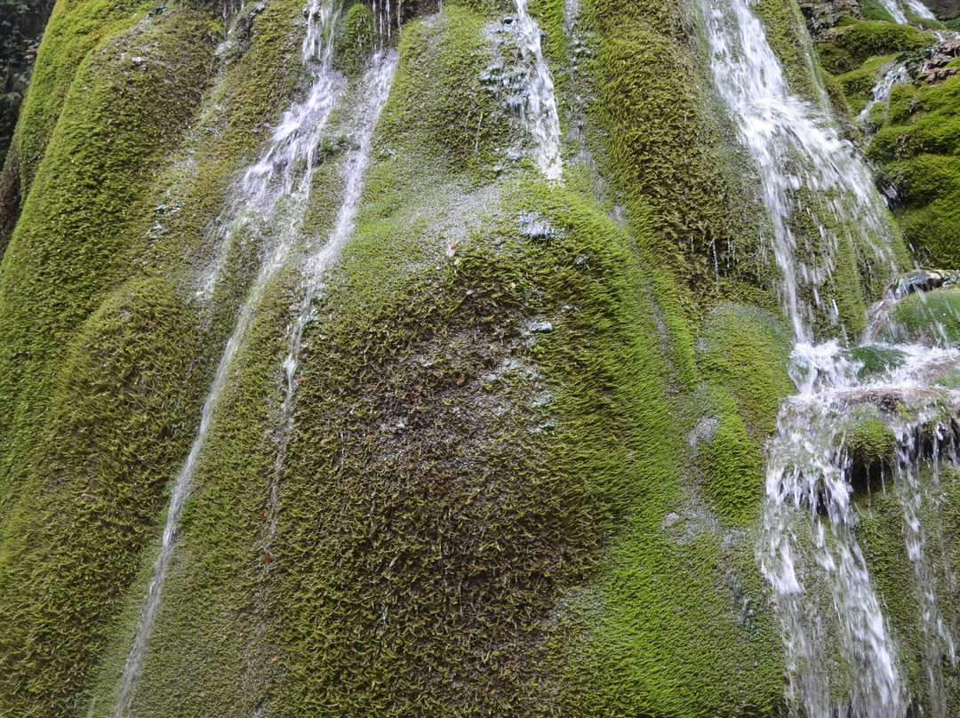Bigar Cascade Falls景点图片