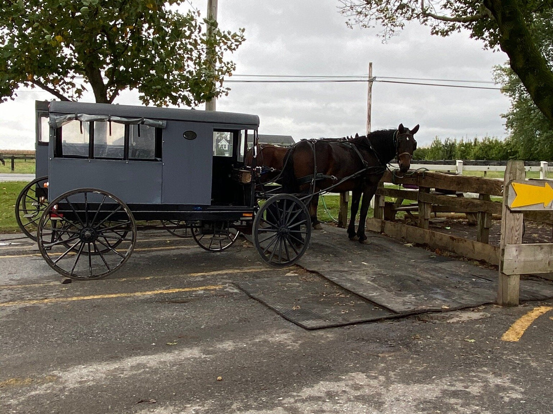 Abe's Buggy Rides景点图片