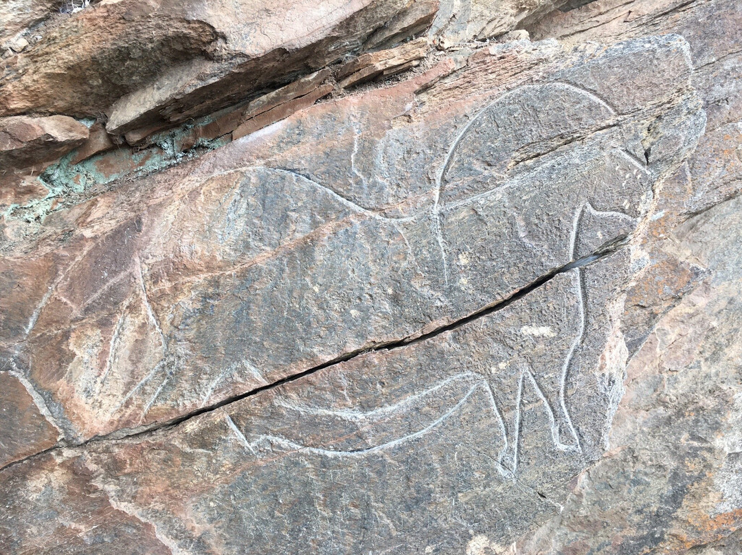 Rock Engravings of Mazouco景点图片