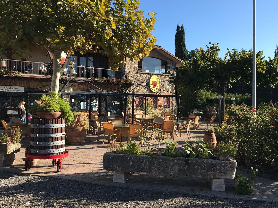 罗萨蒂酒店主图