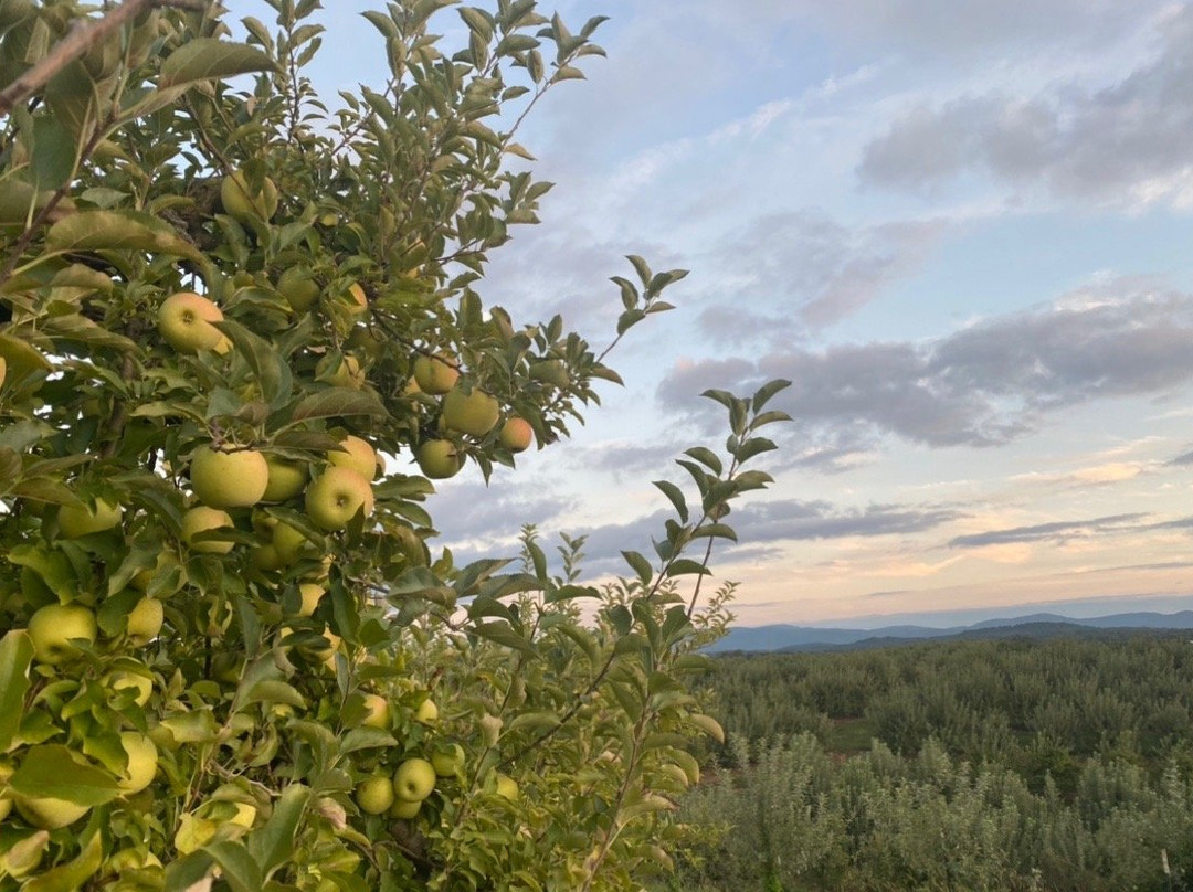 R & A Orchards-Ellijay必去景点