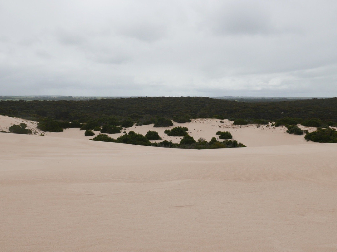 Little Sahara-袋鼠岛必去景点