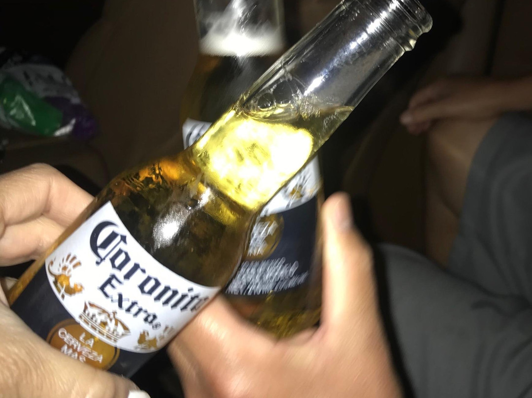 The Cape Transfers-卡波圣卢卡斯必去景点