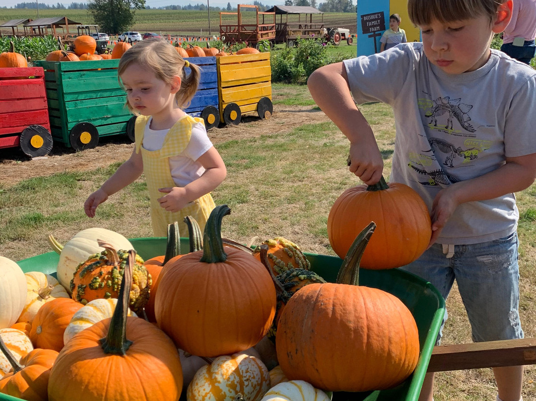 Bushue Family Farm & Nursery-Boring必去景点