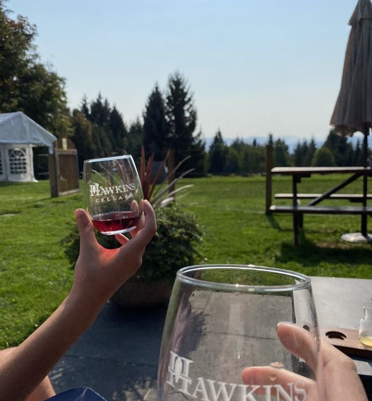 Martin's Gorge Tours-Stevenson必去景点