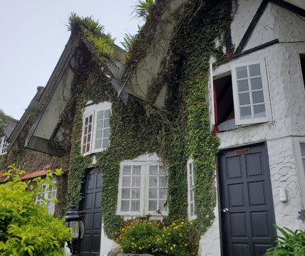 Bala's Holiday Chalet主图