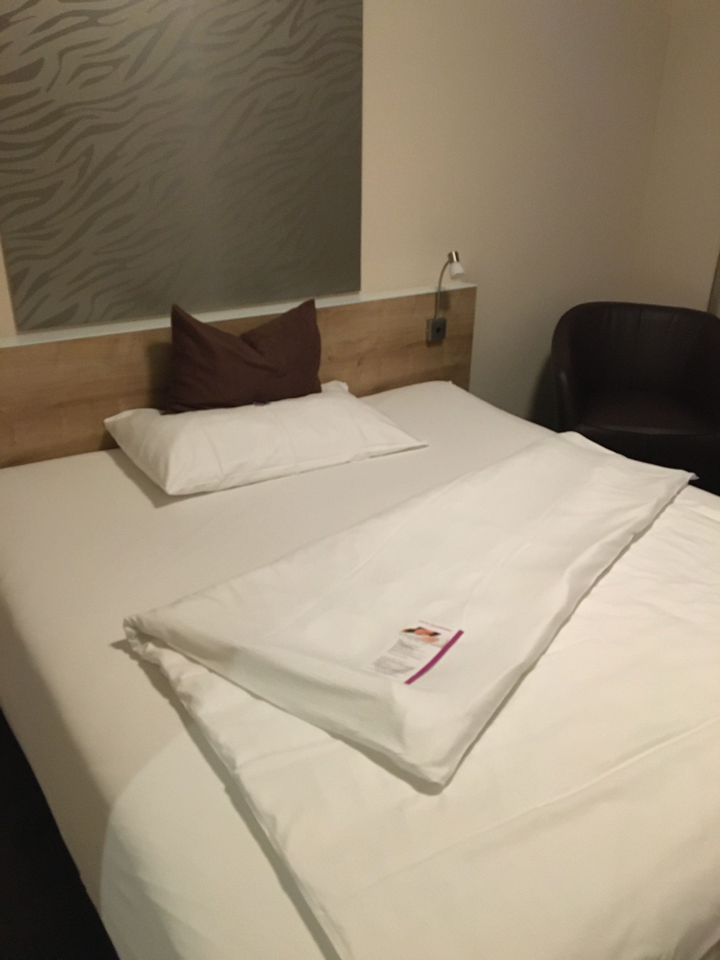 Villmergen Swiss Quality Hotel-官方