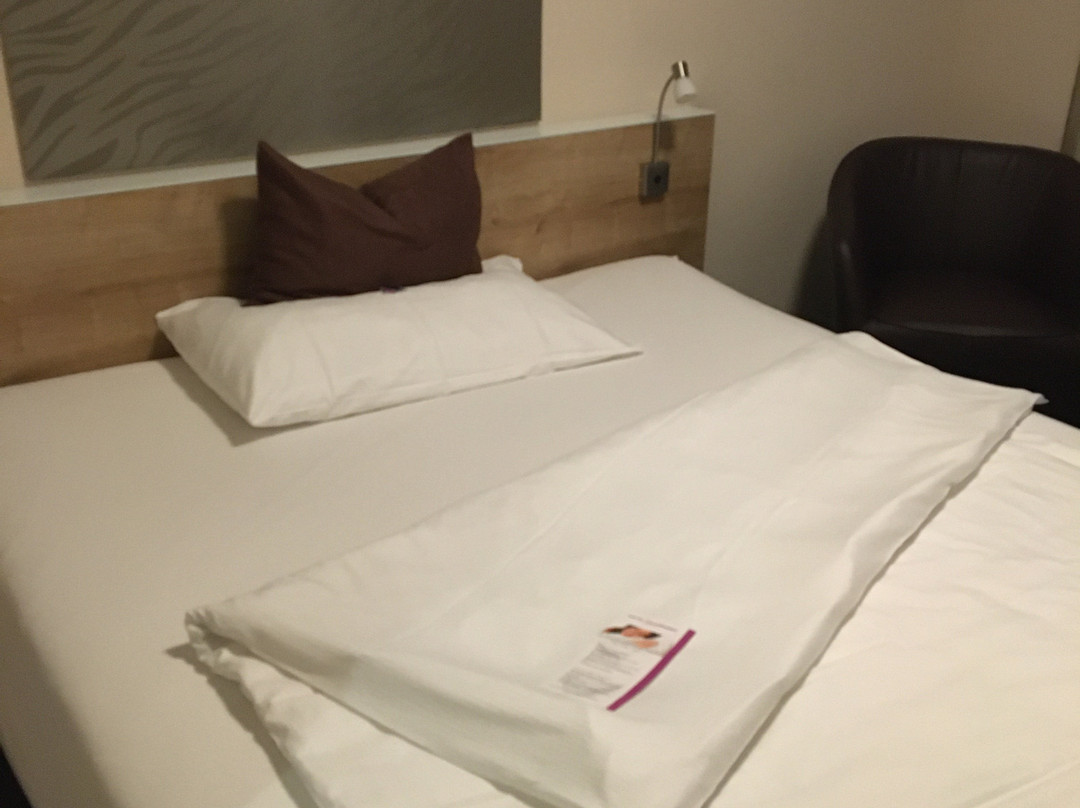 Villmergen Swiss Quality Hotel主图