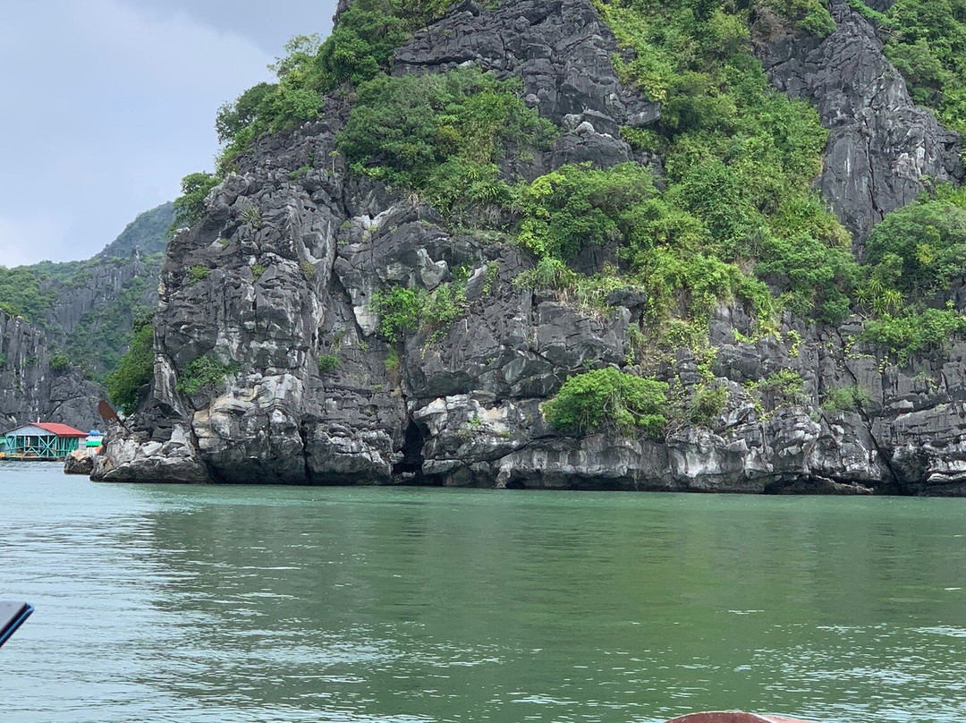 猴子岛度假村主图