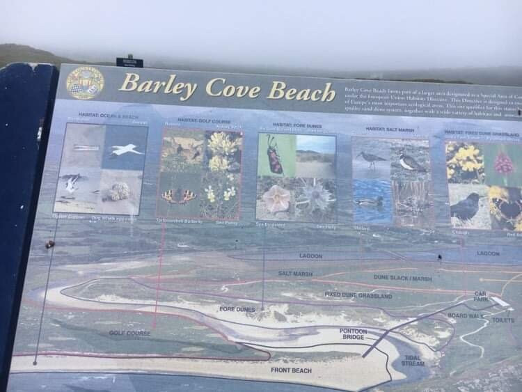 Barleycove Beach-Dough必去景点