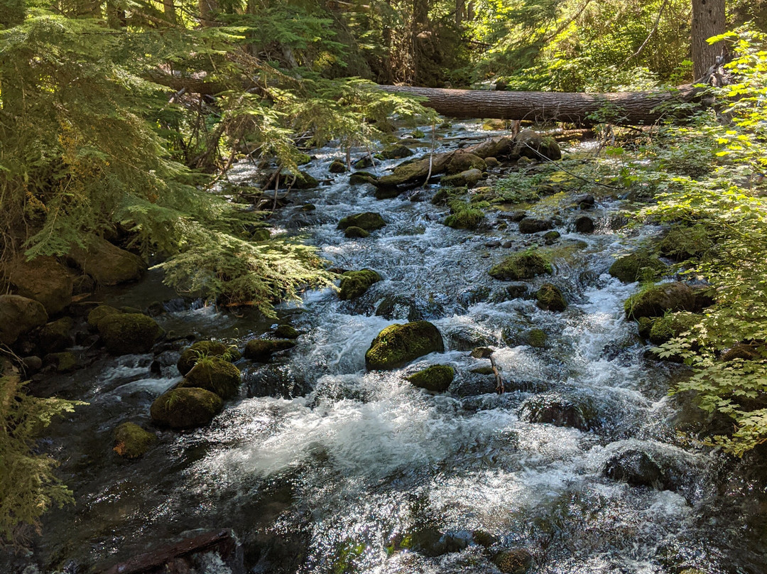 Tamanawas Falls Trail-胡德里弗必去景点