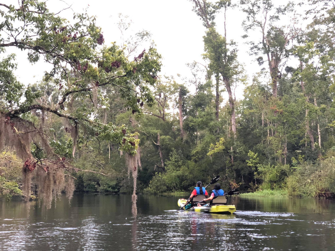 Paddle Jax Amelia-Yulee必去景点
