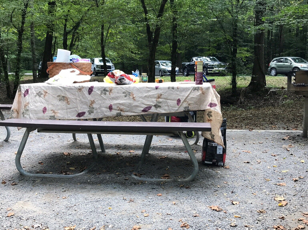 Metcalf Bottoms Picnic Area-大雾山国家公园必去景点