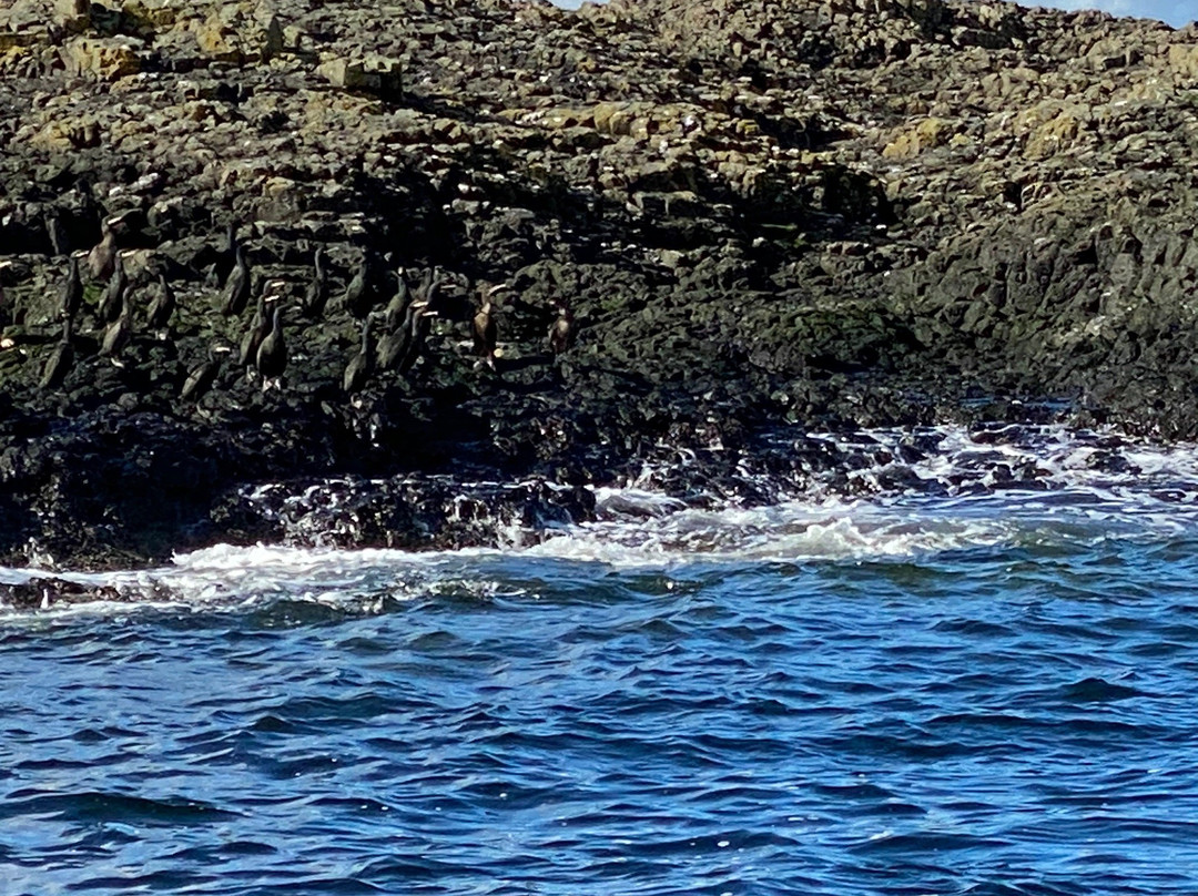 Wild Skye Boat Trips景点图片