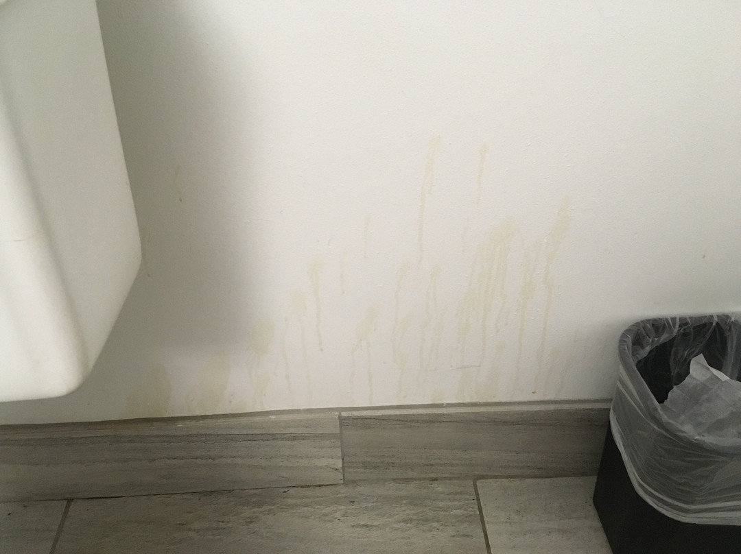 Baymont by Wyndham Anderson Clemson主图