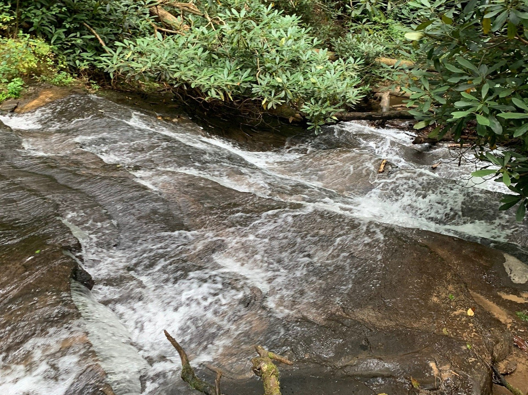 Angel Falls Trail景点图片