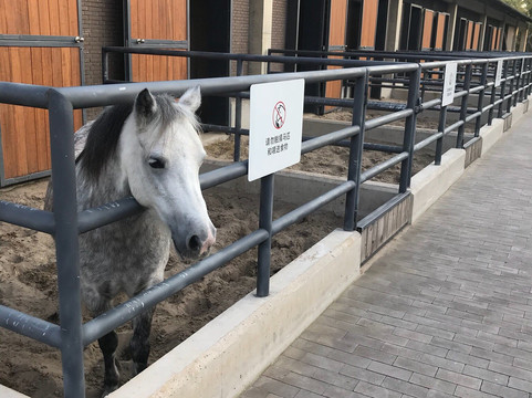 阿那亚安澜酒店主图