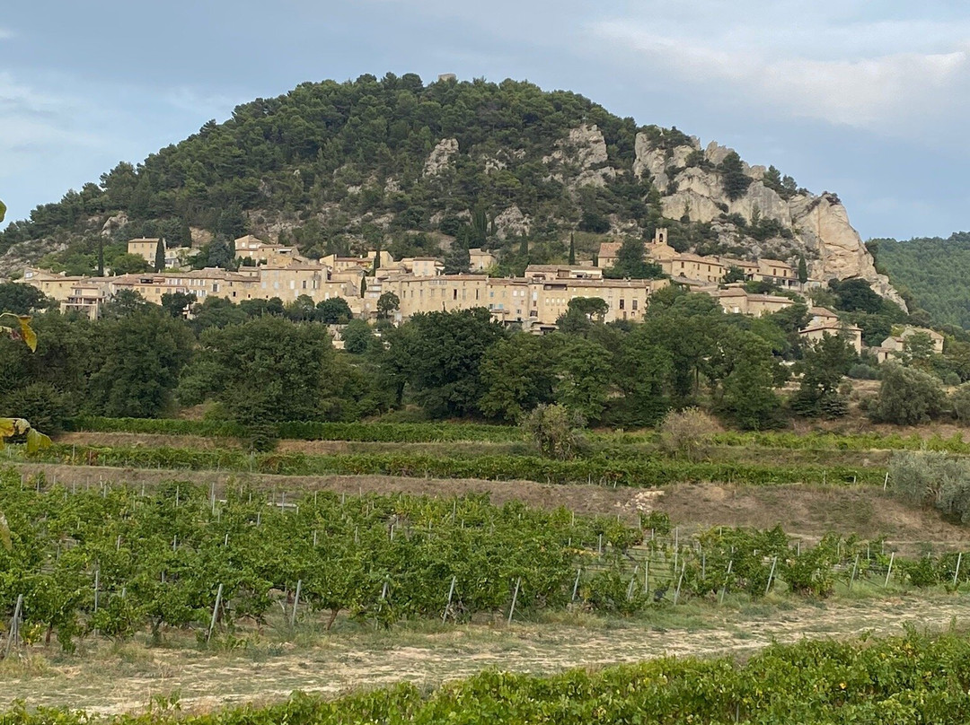 Logis Hôtellerie du Domaine de Cabasse主图