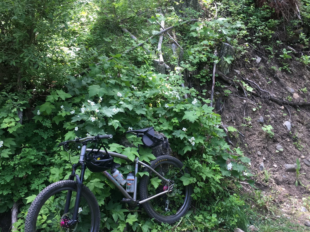 Middle Cottonwood Trailhead-博兹曼必去景点