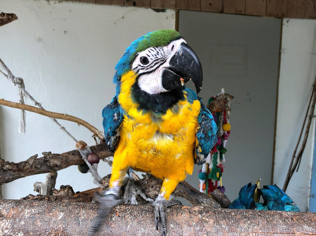 Vogelpark Turnersee-Sankt Primus必去景点