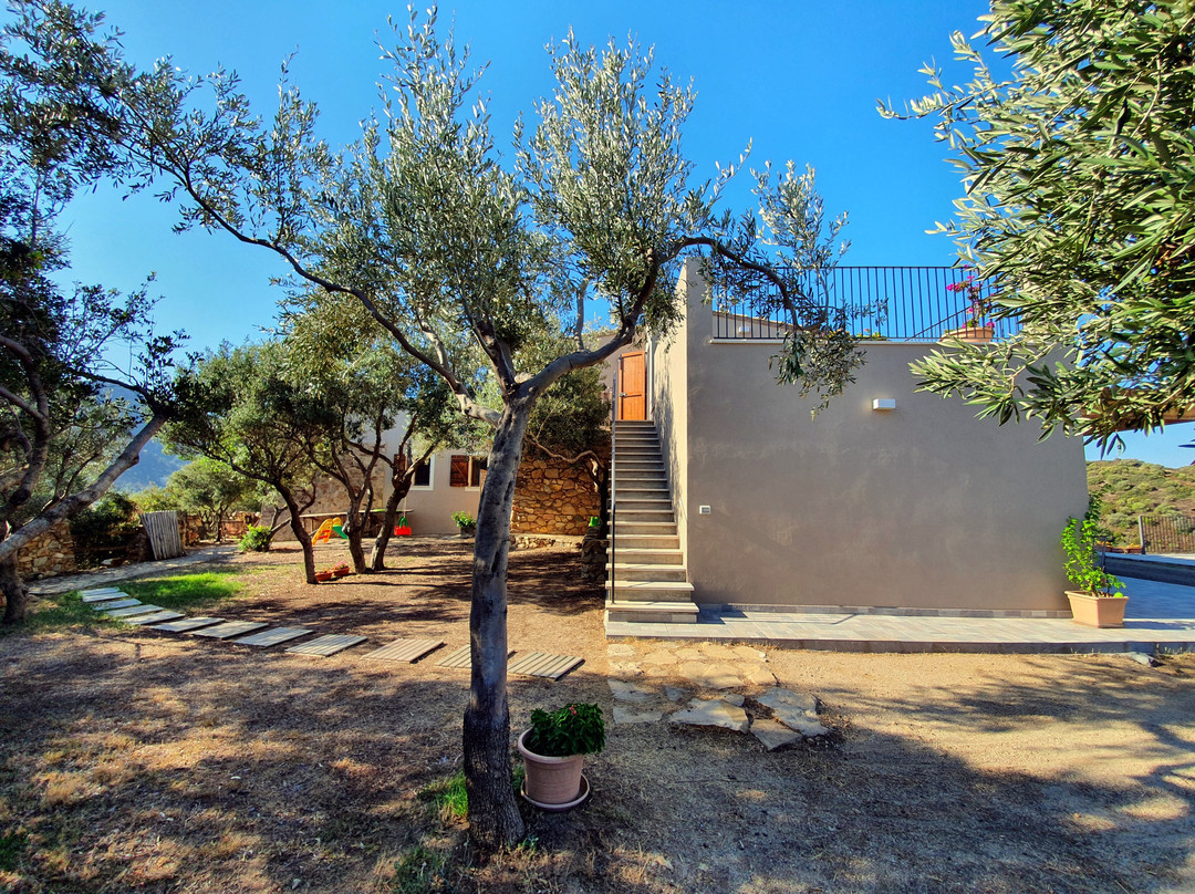 Sa Guardia de Ferricci主图