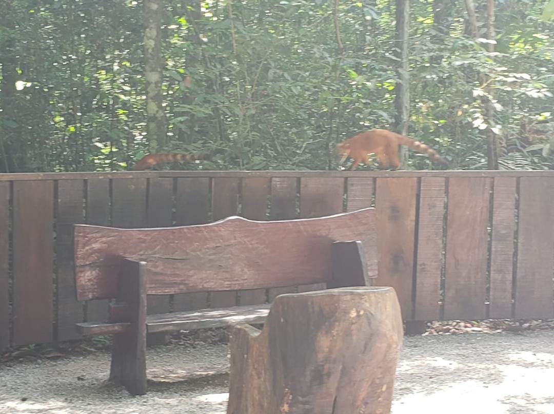 Bioparque Municipal de Macapa-Macapa必去景点