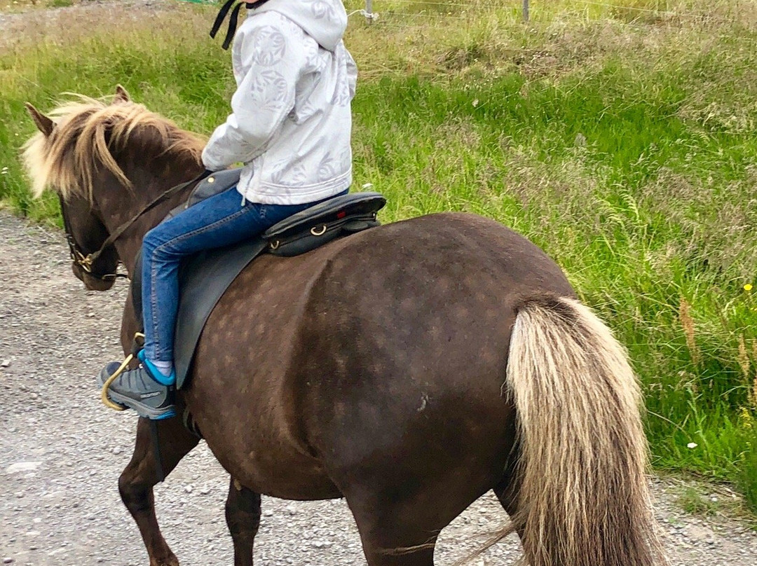 Lýtingsstadir Riding Tours-Varmahlid必去景点