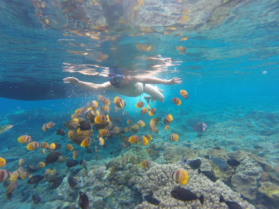 Nusa Penida Explorer景点图片