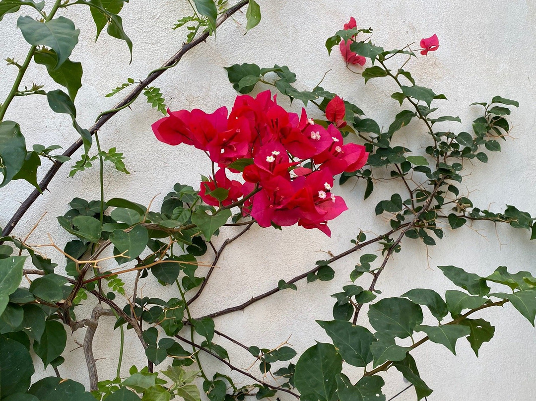 La Via Dell'Acqua主图