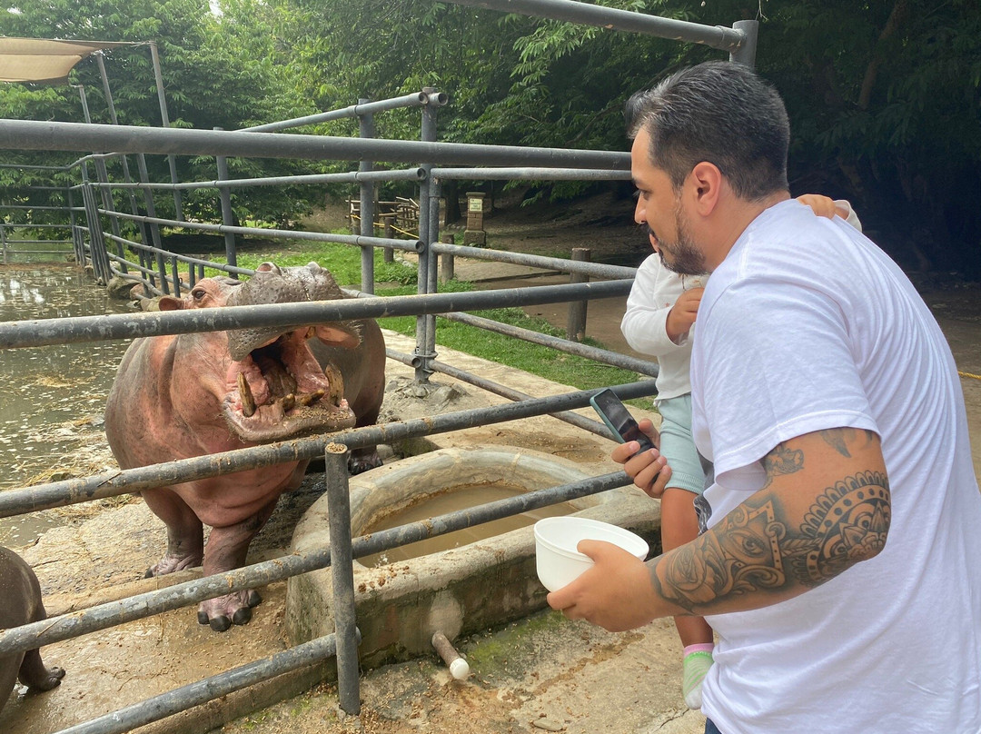 Zoofari-Amacuzac必去景点