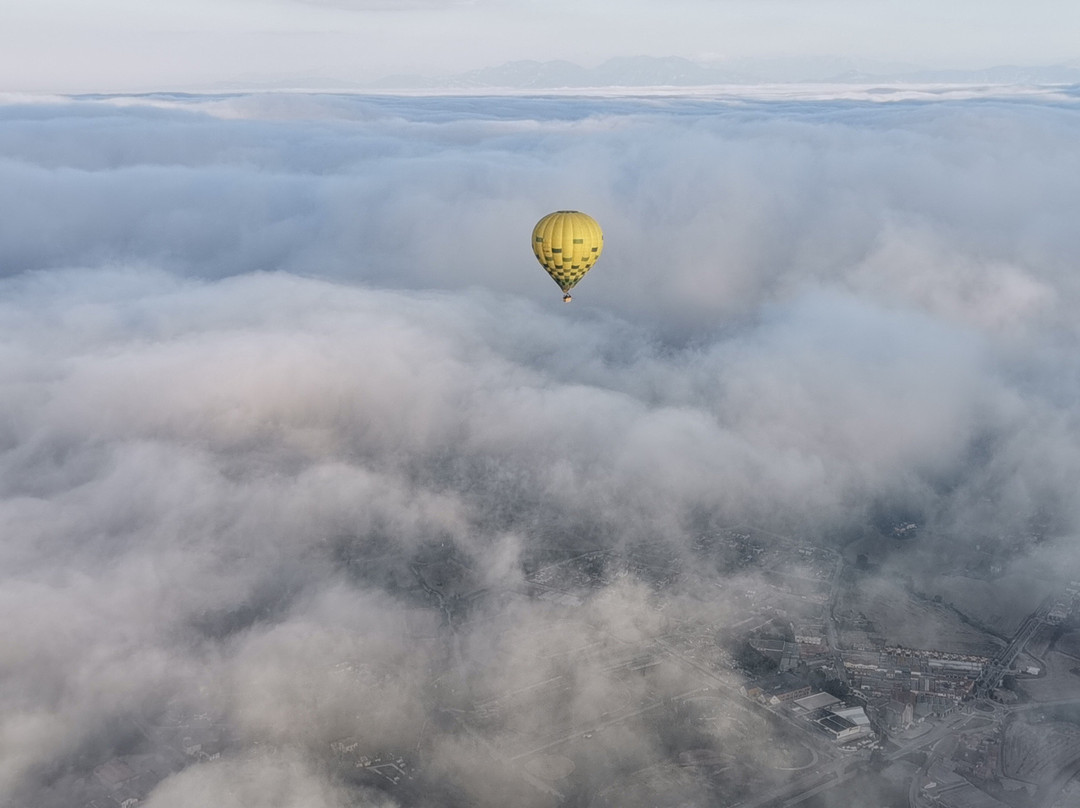 Aircat-维克必去景点